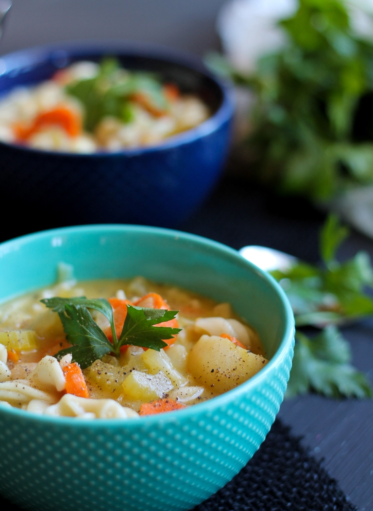 Vegan Chicken Noodle Soup – VeggieJeva