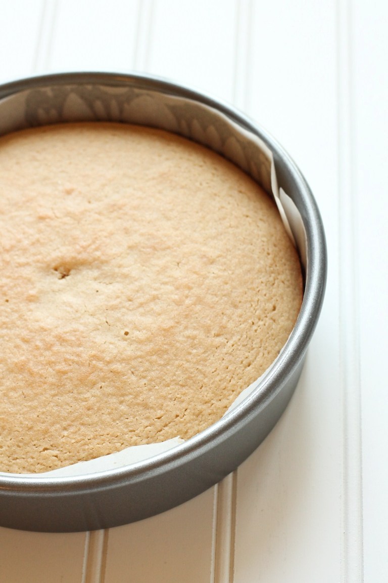 Baked vegan vanilla cake in pan