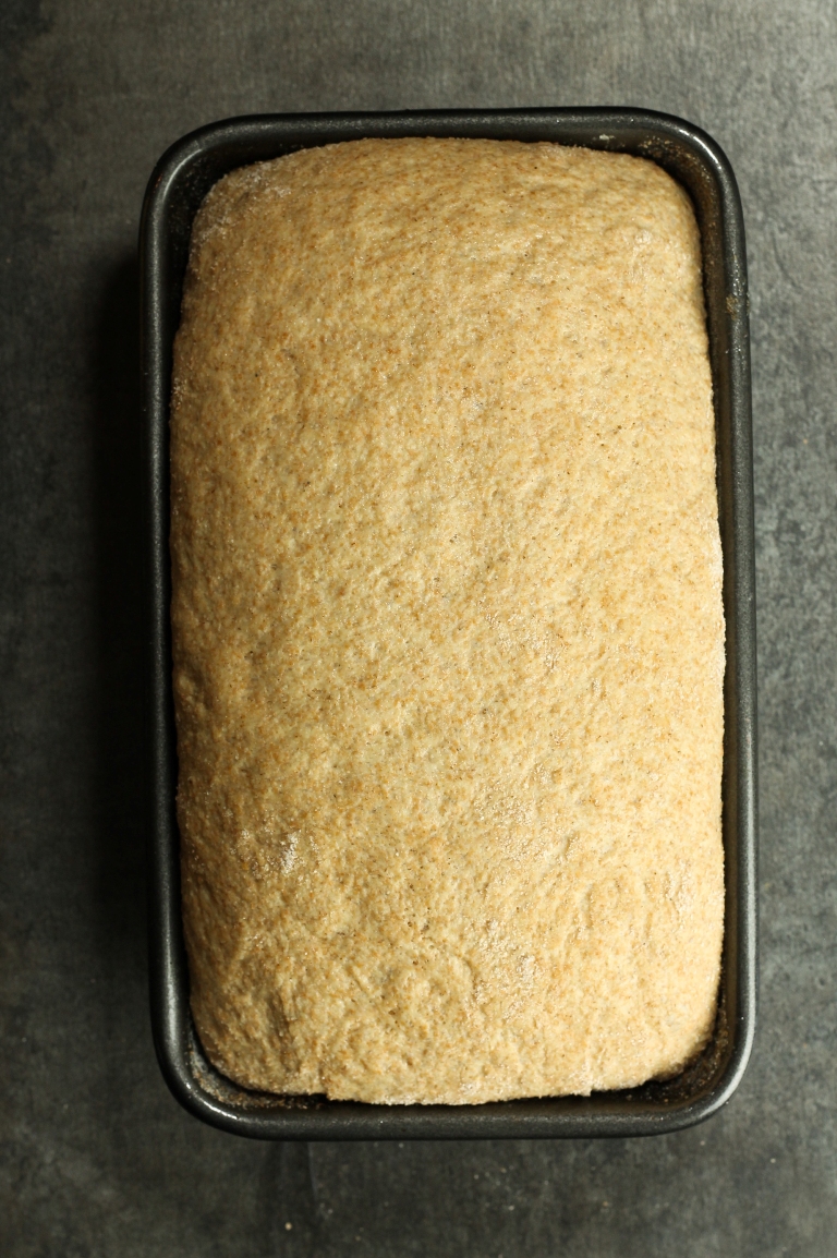 Overhead view of risen spelt dough in loaf pan