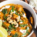 closeup of bowl of curry with black spoon